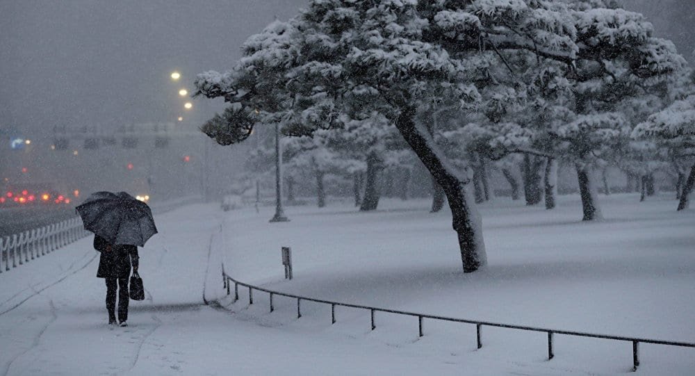 nieve-en-japon