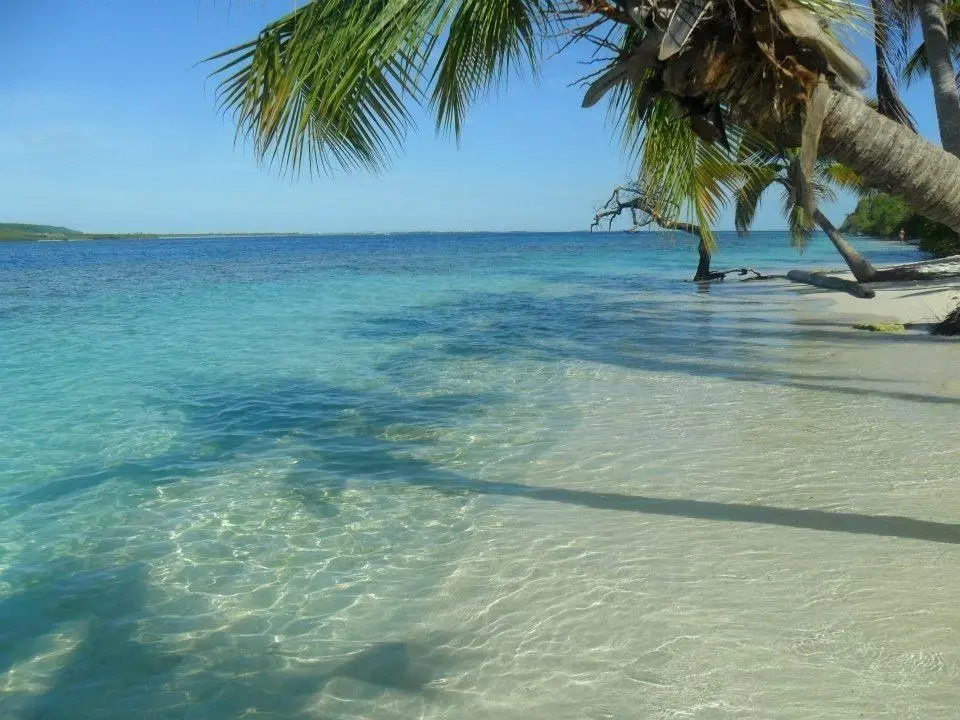 Playa
