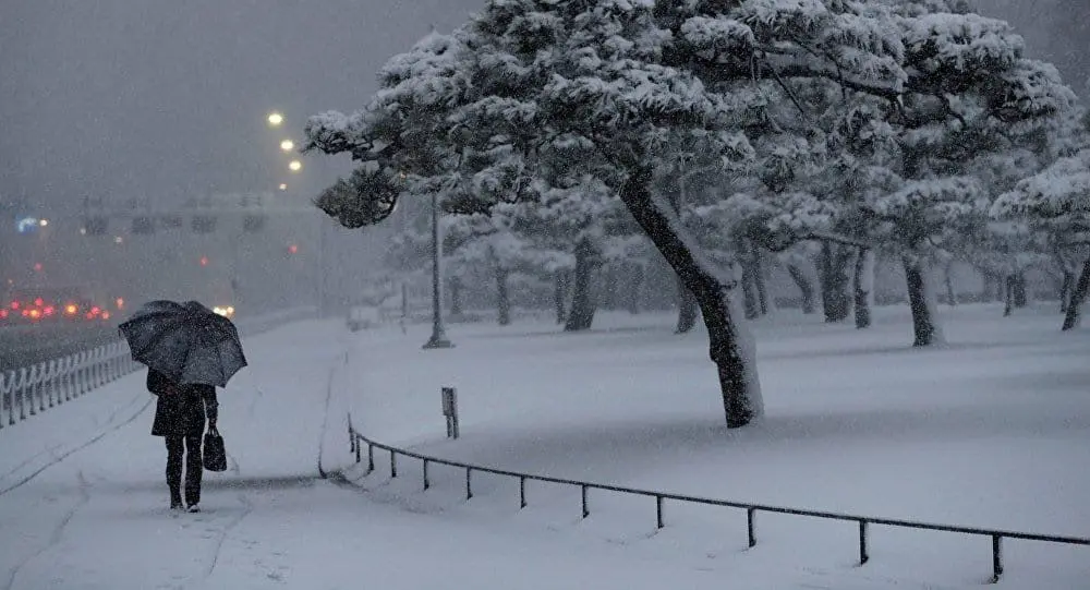 Meteorología en Red