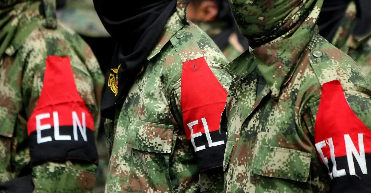 ELN/P24
