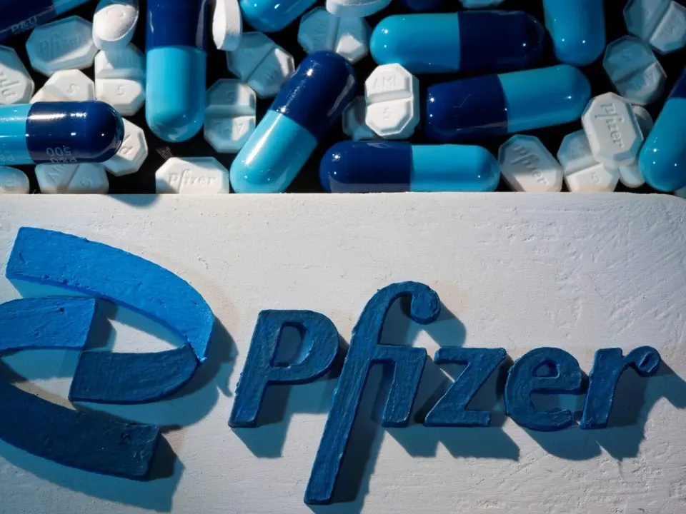 Pfizer/P24