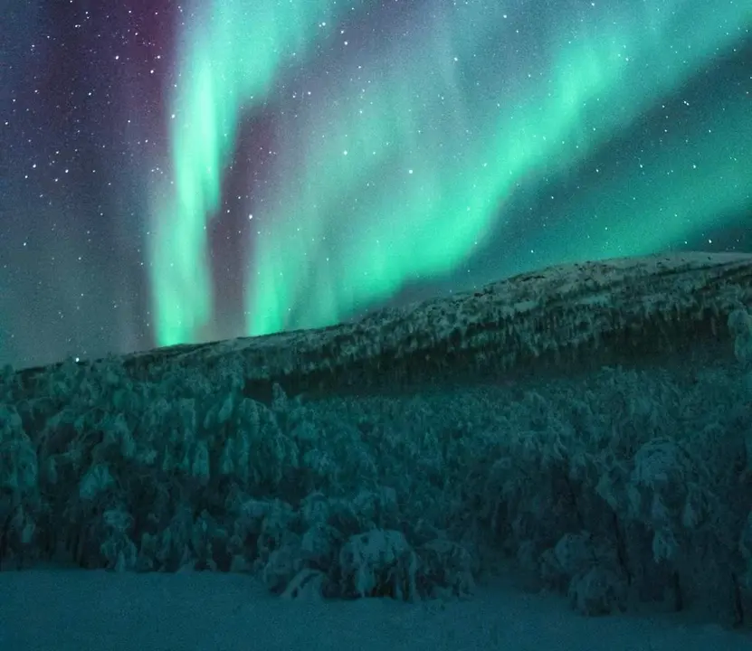 Auroras Boreales