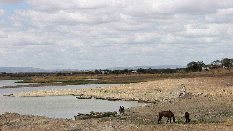 Crisis climática