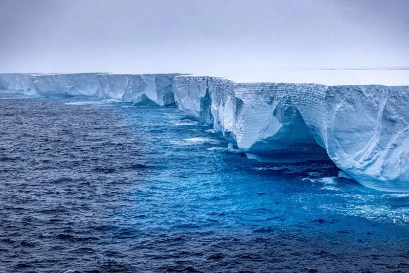 Iceberg