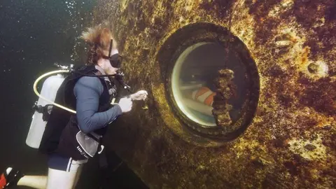 Investigador-Florida