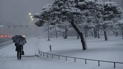 Meteorología en Red