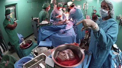 Trasplantes de órganos/Primicias24