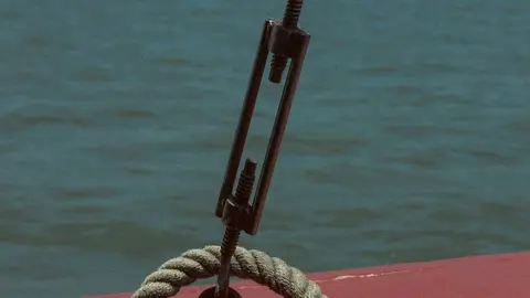 Pexels/Foto Referencia