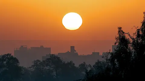 pexels-simon-berger-815503