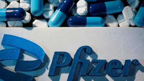 Pfizer/P24
