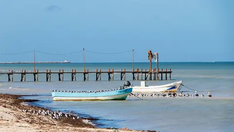 03______04___2024_____0000000003