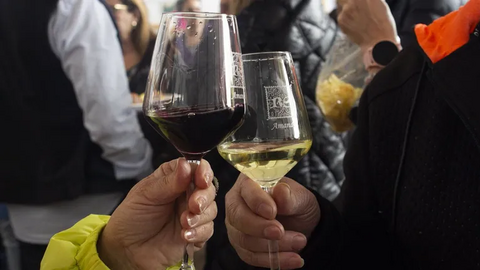 Choque de copas en celebración de cosecha de vino