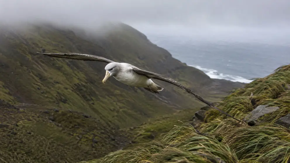 Imagen de referencia creada con IA