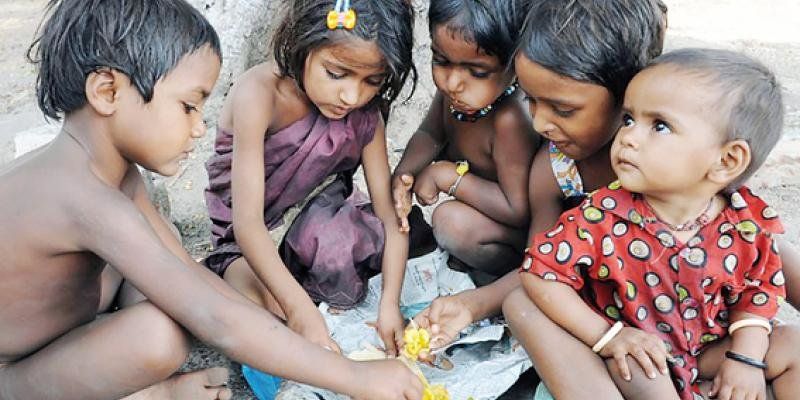 ONG española: "828 millones de personas pasan hambre hoy en el mundo"