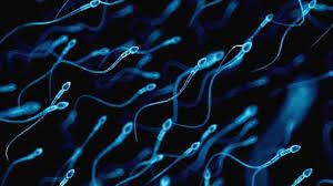 Un donante de semen de 41 años tiene alrededor de 550 niños