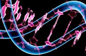 Una novedosa técnica genética puede minimizar el problema de la mutación
