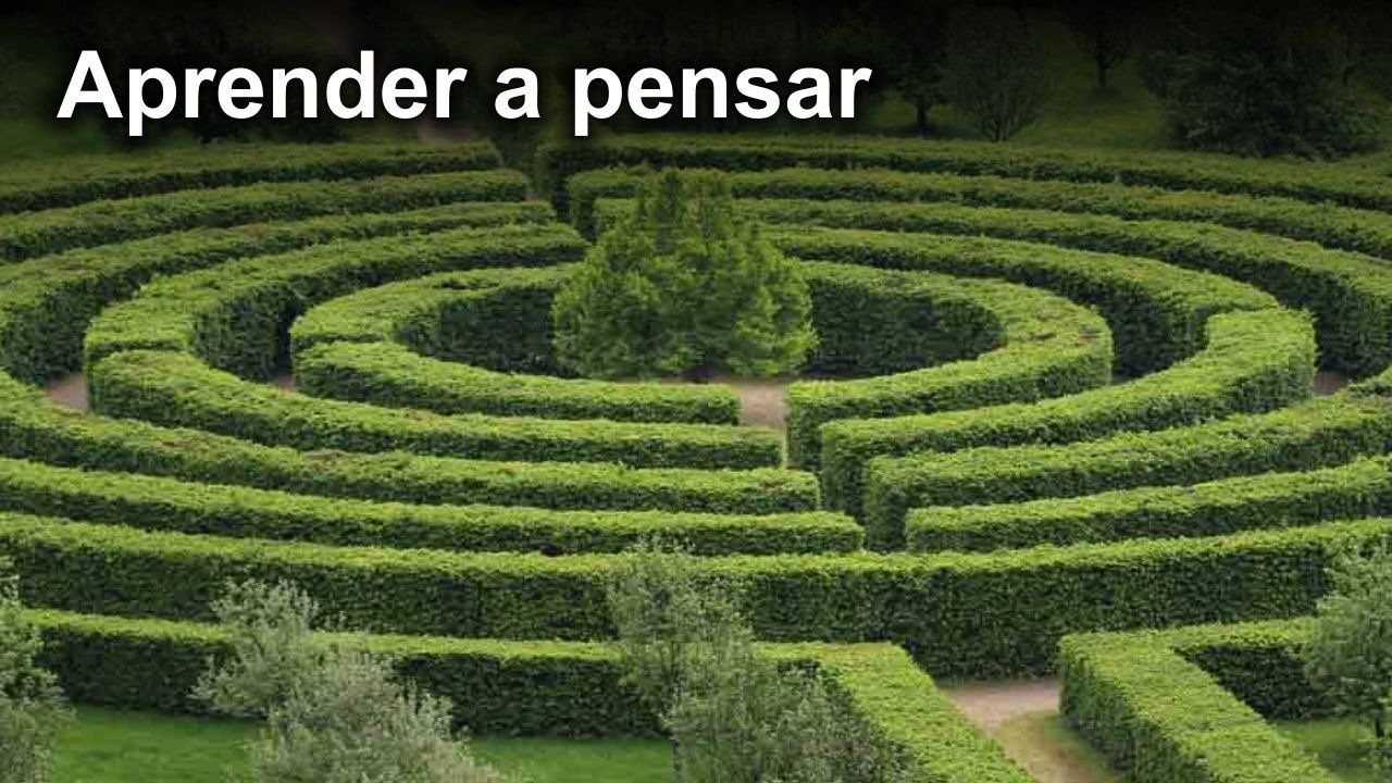 Artículo de opinión: Aprender a pensar desde la infancia