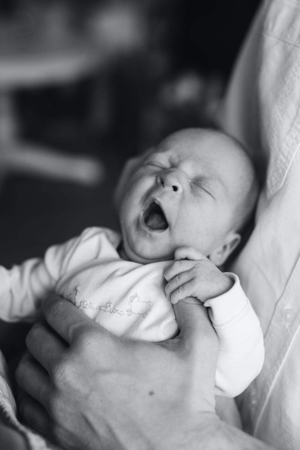 ¡Revelador! Lea este estudio sobre los bebés