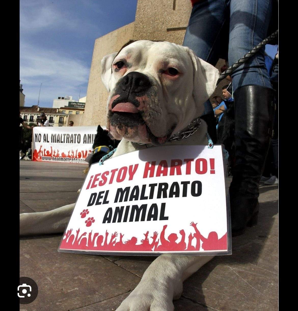 Concentración por la justicia de Kira